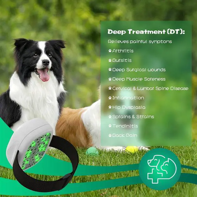Alt view image 2 of 7 - PUPCA Pet/Vet Therapy Device,Cold Laser Therapy Relieves Muscle Joint Pain of Animal,Arthritis,Reduces Inflammation,Heals Wounds & Skin Infections.2 Therapy Modules.for Dogs,Cats,Horses & Others