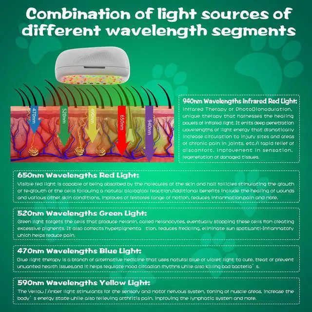 Alt view image 4 of 7 - PUPCA Pet/Vet Therapy Device,Cold Laser Therapy Relieves Muscle Joint Pain of Animal,Arthritis,Reduces Inflammation,Heals Wounds & Skin Infections.2 Therapy Modules.for Dogs,Cats,Horses & Others