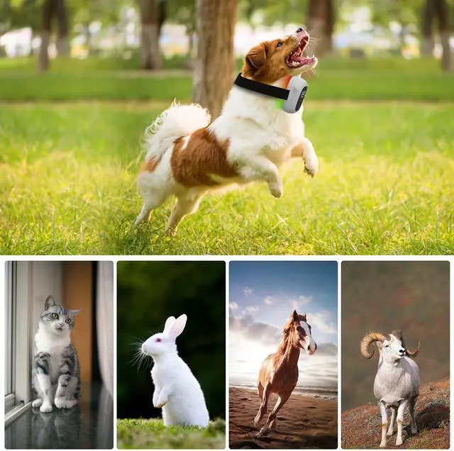 Alt view image 6 of 7 - PUPCA Pet/Vet Therapy Device,Cold Laser Therapy Relieves Muscle Joint Pain of Animal,Arthritis,Reduces Inflammation,Heals Wounds & Skin Infections.2 Therapy Modules.for Dogs,Cats,Horses & Others