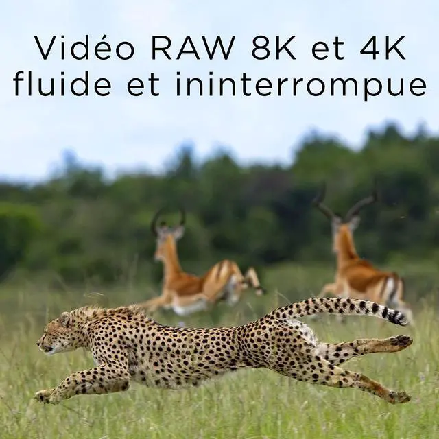Alt view image 4 of 5 - Integral 256GB CFexpress Memory Card Type B 2.0 8K RAW and 4K 120 FPS 1700MB/s Read 1600MB/s Write Speed Designed for The Cinematographer and Professional Photographer