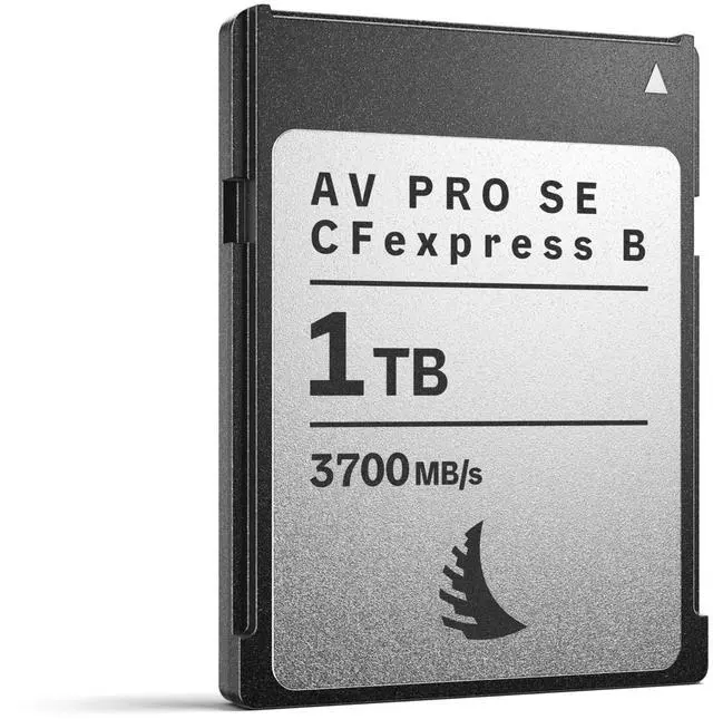 Main image of Angelbird AV PRO SE CFexpress B v4 1 TB - CFexpress 4.0 Type B Memory Card - Largest Capacity and Ultra High-Speed - up to 12 K+ RAW Video and Photo
