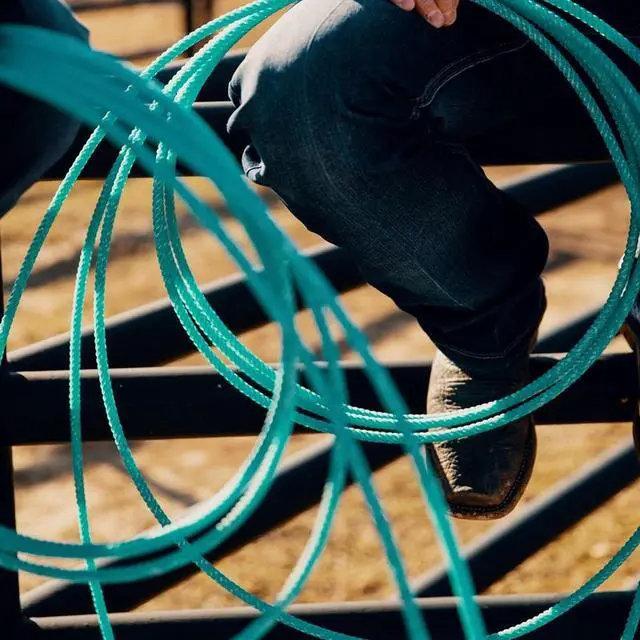 Alt view image 3 of 3 - Cactus Ropes The Future Head Team Rope Blue XS