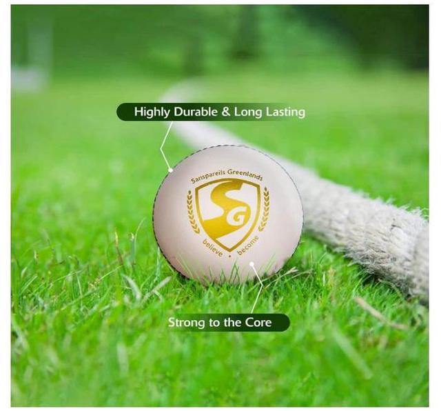 Alt view image 5 of 5 - SG Cricket Shield 20 Premium Leather Ball (White & Red Color)