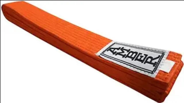 Main image of Amber Sporting Goods Premium Karate Belt, 100% Cotton Canvas Martial Arts Belt for Karate, Taekwondo & Judo Size 7 - 128 Inches