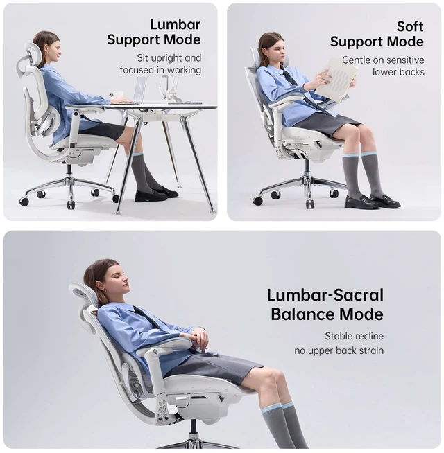 Alt view image 3 of 7 - SIHOO Doro C300 Pro V2 Ergonomic Office Chair Without Footrest,Deep Gray | Full-Body Adaptive Support, 8D Armrests & Breathable Mesh, Comfy High Back Computer Desk Chair for Long Hours