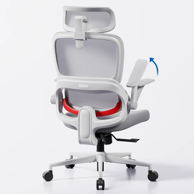 Main image of Sihoo B100 Se Office Chair, Executive Chair with Cotton Seat, Dual-Back Ergonomic Chair, 2D Adjustable Headrest & Flip Link Armrest, Comfort Mesh Chair for Home Office & Gaming, 300lbs, Gray