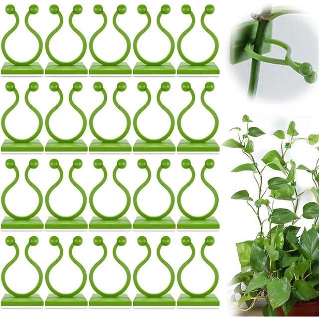 Main image of Plant Climbing Wall Fixture Clips, Plant Vine Wall Clips Wall Plant Support Hook, Invisible Plant Support Vine Clips, Plant Fixer Self-Adhesive Hook for Climbing Plants Indoor Outdoor (150, White)