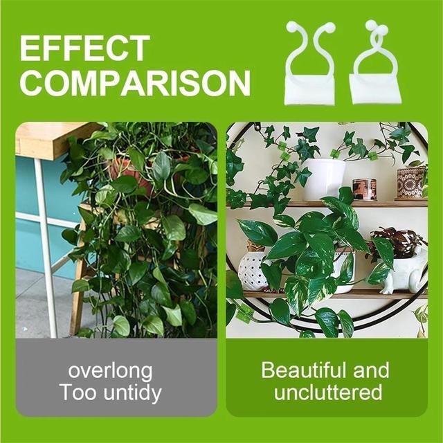 Alt view image 4 of 7 - Plant Climbing Wall Fixture Clips, Plant Vine Wall Clips Wall Plant Support Hook, Invisible Plant Support Vine Clips, Plant Fixer Self-Adhesive Hook for Climbing Plants Indoor Outdoor (150, White)