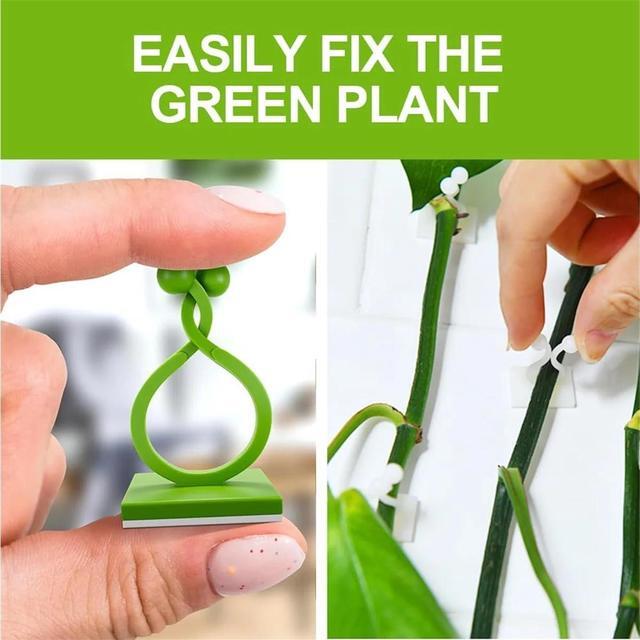 Alt view image 3 of 7 - Plant Climbing Wall Fixture Clips, Plant Vine Wall Clips Wall Plant Support Hook, Invisible Plant Support Vine Clips, Plant Fixer Self-Adhesive Hook for Climbing Plants Indoor Outdoor (150, White)