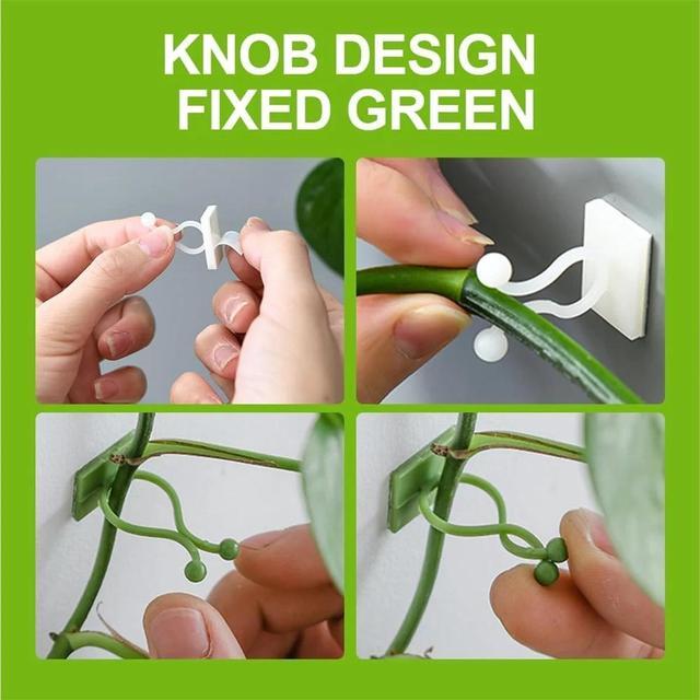 Alt view image 5 of 7 - Plant Climbing Wall Fixture Clips, Plant Vine Wall Clips Wall Plant Support Hook, Invisible Plant Support Vine Clips, Plant Fixer Self-Adhesive Hook for Climbing Plants Indoor Outdoor (150, White)