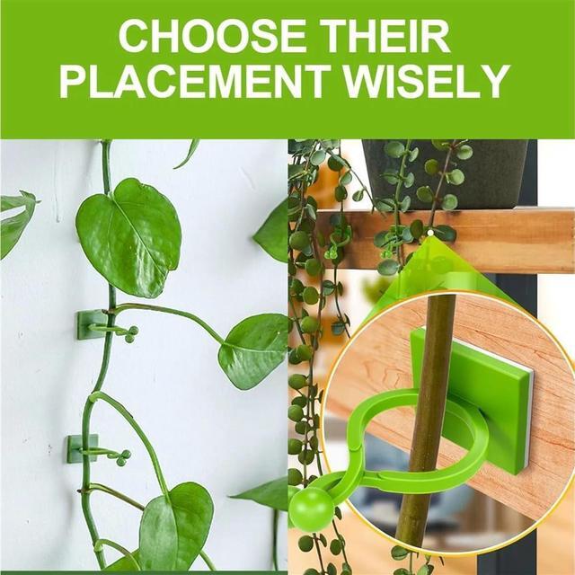 Alt view image 6 of 7 - Plant Climbing Wall Fixture Clips, Plant Vine Wall Clips Wall Plant Support Hook, Invisible Plant Support Vine Clips, Plant Fixer Self-Adhesive Hook for Climbing Plants Indoor Outdoor (150, White)