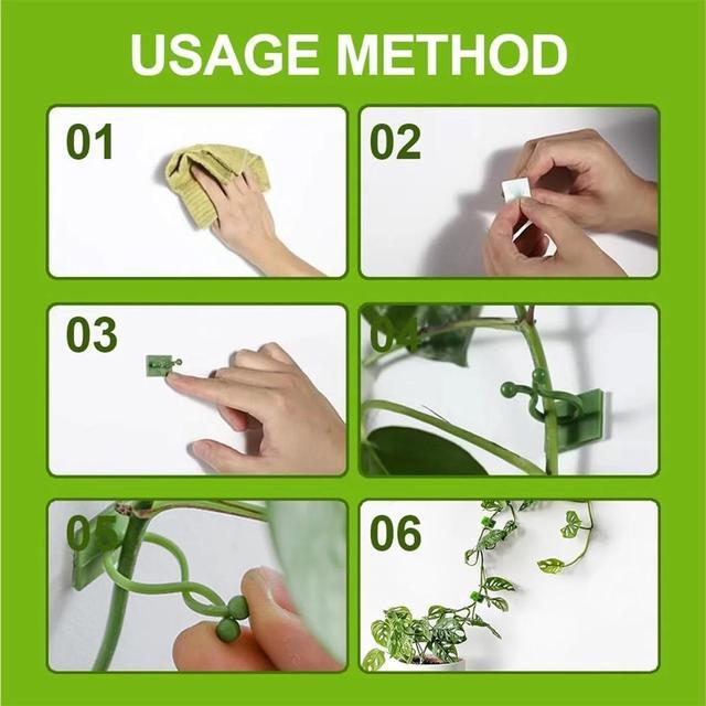 Alt view image 7 of 7 - Plant Climbing Wall Fixture Clips, Plant Vine Wall Clips Wall Plant Support Hook, Invisible Plant Support Vine Clips, Plant Fixer Self-Adhesive Hook for Climbing Plants Indoor Outdoor (150, White)