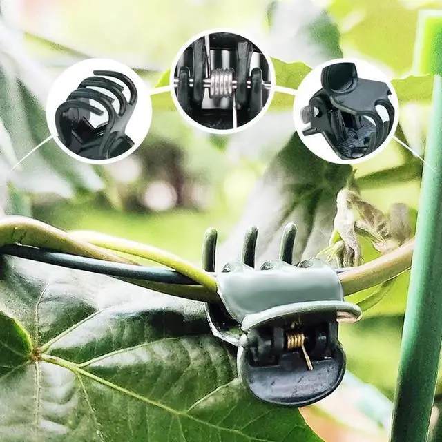 Alt view image 3 of 6 - JFEYV 50/100PCS Plant Clips Vine Clamp Plant Support for Grafting Tomato Butterfly Orchid Flowers Clip Garden Accessories Tools