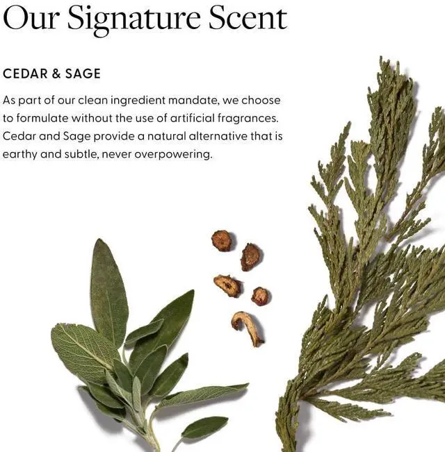 Alt view image 3 of 7 - Arey Shower Duo | Wash Shampoo and Smooth Conditioner | Delay + Reduce the Signs of Aging Grey Hair | Retain Moisture, Promote Smoothness | Vegan, Gluten-Free & Cruelty Free (2 Pack, 8.45 Fl Oz each)