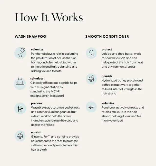 Alt view image 6 of 7 - Arey Shower Duo | Wash Shampoo and Smooth Conditioner | Delay + Reduce the Signs of Aging Grey Hair | Retain Moisture, Promote Smoothness | Vegan, Gluten-Free & Cruelty Free (2 Pack, 8.45 Fl Oz each)