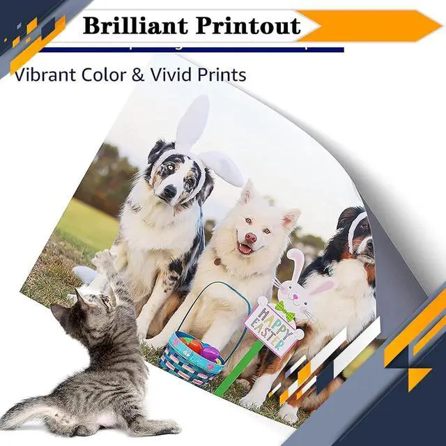 Alt view image 7 of 7 - DV-369 DV369 Developer Kit, Compatible for Aurora AD289S AD369S Printers [High Print Volume with Chip] 1 pcs