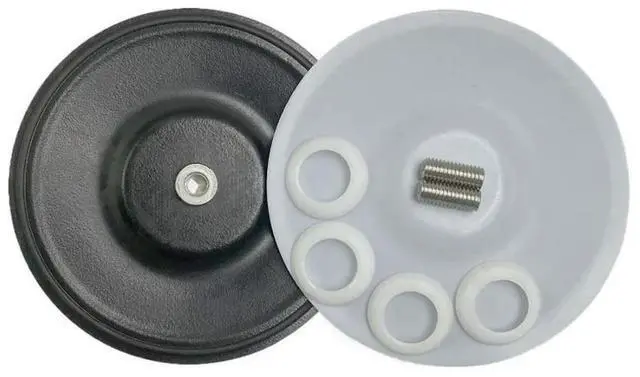 Main image of FOR 245065 Diaphragm for Pneumatic Diaphragm Pump