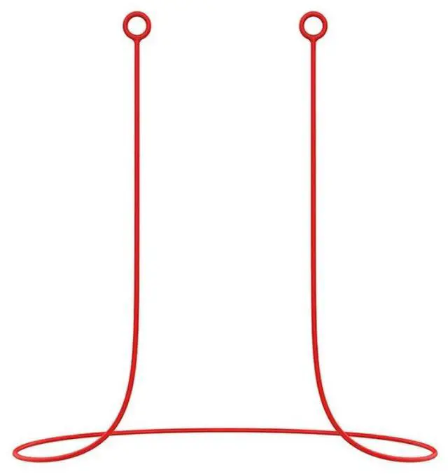 Main image of Earplugs Earbud Lanyard