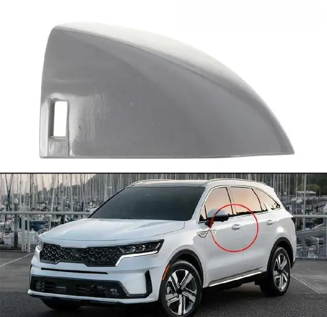 Main image of Door Handle Cover LHD 82652-S9100