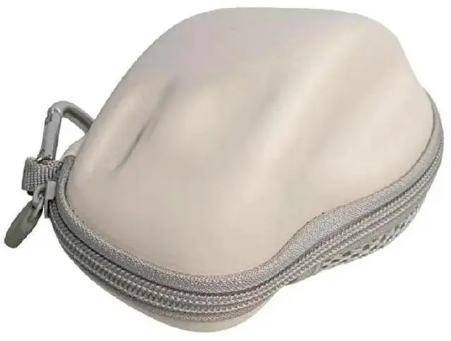 Main image of Travel Case Bag for Professor 1 Wireless Mouse