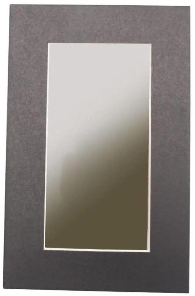 Main image of 2x4in Magnetic Field Viewing Film