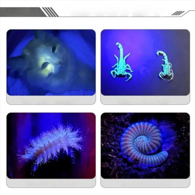 Main image of UV Flashlight for Glue Curing Detection