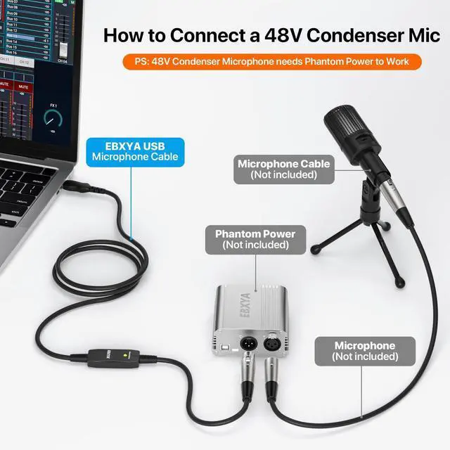 Main image of EBXYA XLR to USB Cable, 3 ft USB to XLR Microphone Cable 3 Pin XLR Female Cables Adapter with USB to Type-C Adapter Cord for Audio Recording Karaoke Live Podcast