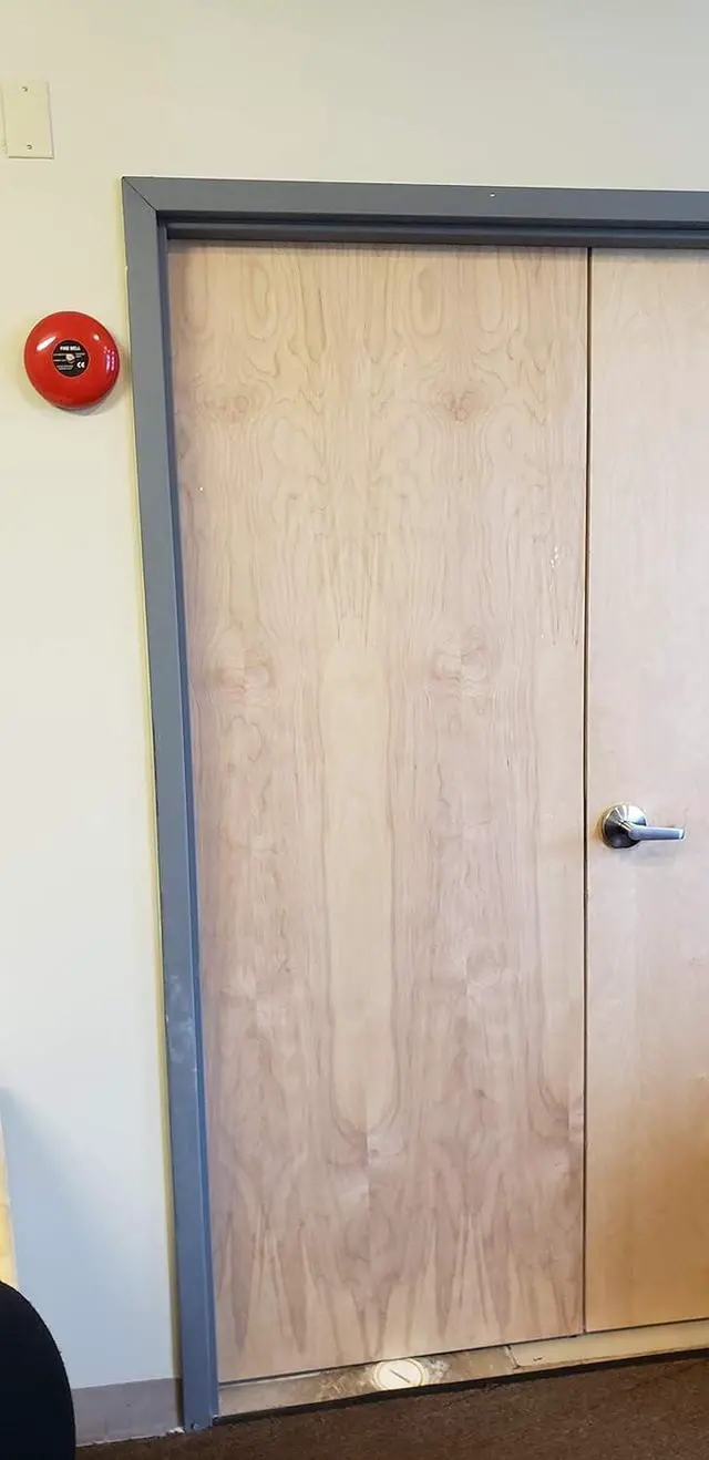 Alt view image 4 of 7 - WERLEO Fire Alarm Bell - 6 Inches Ringing Bell - 12 Volt DC Bell Extra Loud Doorbell, Chime Alarm Or Multi Purpose Bell. Can Be Wired Into Any Device with 12V DC Output