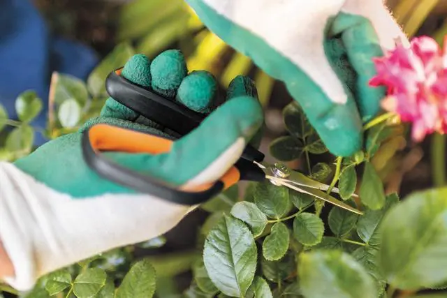 Alt view image 2 of 3 - Solid Snip Pruning Shears SP15, Length: 23,8cm, Steel Blades/Plastic Handle, Black/Orange, 1051602 Orange/Black -