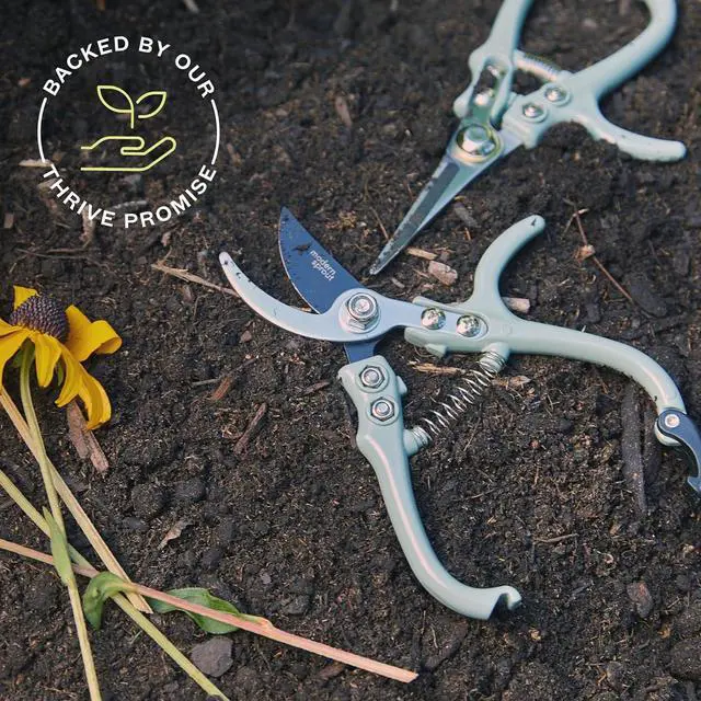 Alt view image 7 of 7 - Hand Pruners & Shears Set - Lightweight Gardening Tools W/Easy Lock Sharp Carbon Steel Blades -Rust Resistant Scissors for Herbs, Flowers Reusable Holster Ocean  Pack of 2
