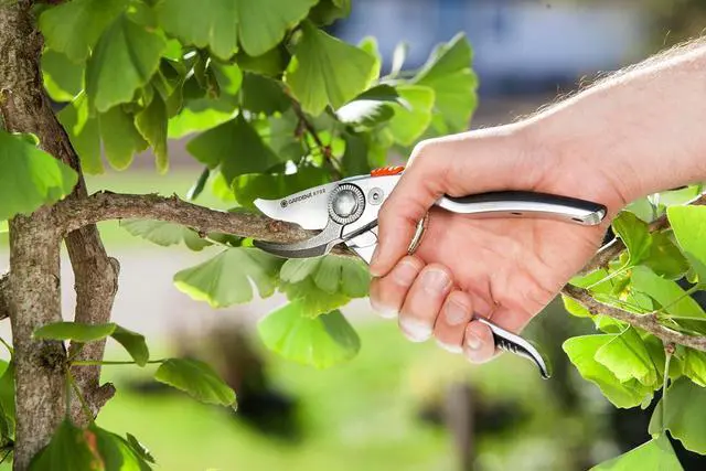 Alt view image 4 of 5 - (8702) Aluminium Secateurs: Premium Bypass Pruner for Thicker Twigs and Branches, Robust Handles, Replaceable Blade, Max. Cutting Diameter 1" Estándar -