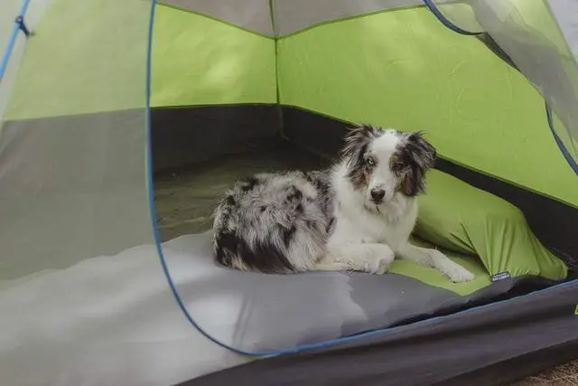 Alt view image 4 of 7 - V Sheet for your Static V Sleeping Pad (New)