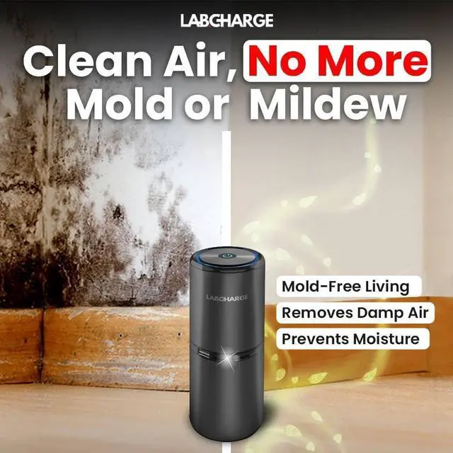 Alt view image 5 of 7 - LabCharge Compact Air Purifier - Covers 250 Sq Ft Ideal for Bedroom or Dorm Room Silent HEPA Filter Captures Dust and Pollutants Portable, Mini Small Spaces