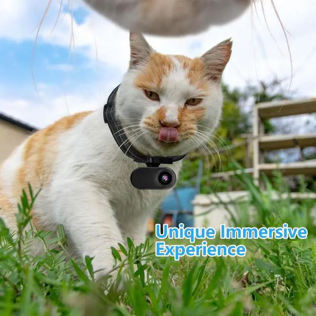 Alt view image 2 of 7 - HD 1080P Cat Camera Collar with Video Record Wireless Mini Sport cam,Small Action Cameras,Body Camera for Pet Supplies/Stuff,Outdoor/Inoor Birthday Gift No Wi