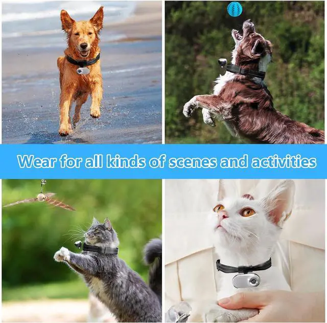 Alt view image 5 of 7 - HD 1080P Cat Camera Collar with Video Record Wireless Mini Sport cam,Small Action Cameras,Body Camera for Pet Supplies/Stuff,Outdoor/Inoor Birthday Gift No Wi