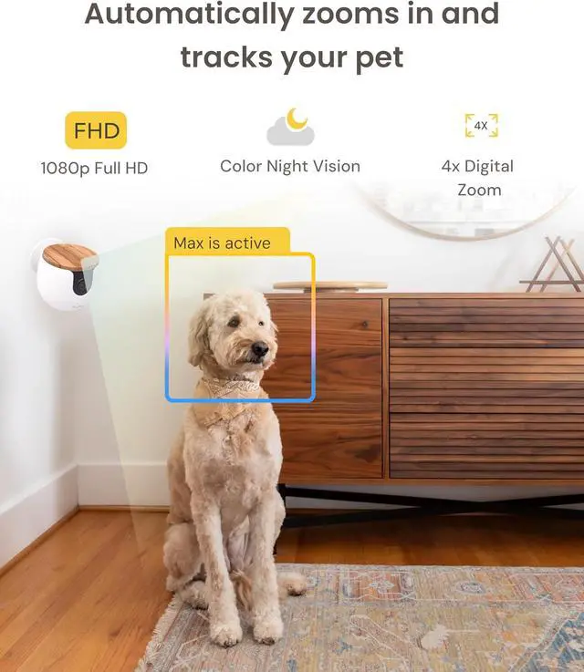Alt view image 5 of 7 - Mini Pet Camera: Security Cam w/Barking/Meowing Alerts, Cat or Dog Tracking w/Phone App, Smart Home Indoor Monitoring, 2-Way Speaker. No Subscription Needed. Standard See, Talk & Toss Features