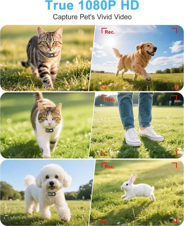 Alt view image 2 of 7 - Cat Camera Collar with Phone APP, 1080P HD Video Recording, XS/M-Size Pet POV Cam for Dogs & Big Cats, Cordless Pet Collar Cameras with APP Viewing (XS-Collar)