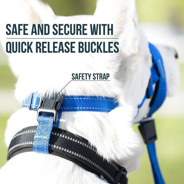 Alt view image 3 of 7 - Adjustable Dog Muzzle - Anti-Bite Training Mask with Traction Control