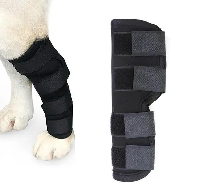 Alt view image 3 of 7 - Dog Leg Braces-Front/Rear Knee Support for Fracture Recovery & Injury Protection