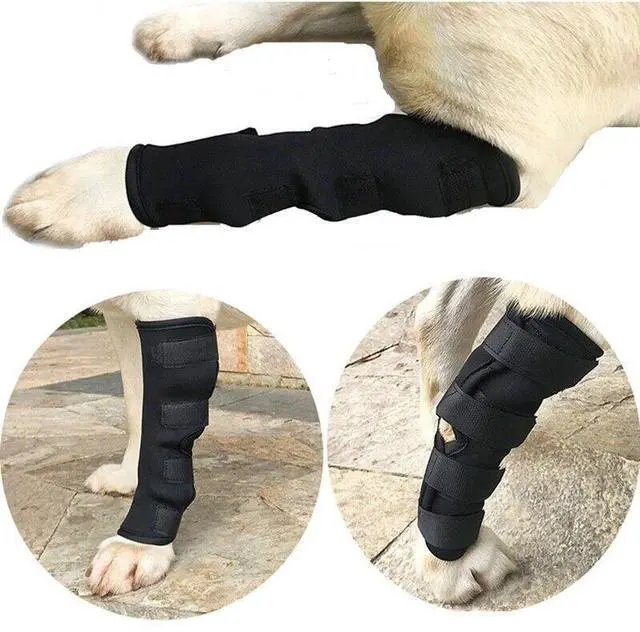 Alt view image 2 of 7 - Dog Leg Braces-Front/Rear Knee Support for Fracture Recovery & Injury Protection