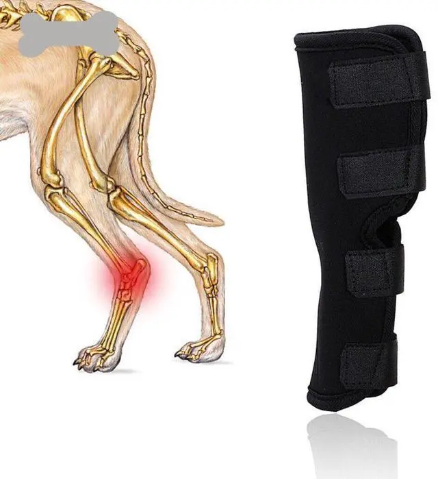 Alt view image 4 of 7 - Dog Leg Braces-Front/Rear Knee Support for Fracture Recovery & Injury Protection