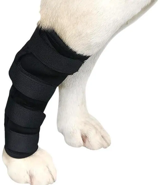 Alt view image 5 of 7 - Dog Leg Braces-Front/Rear Knee Support for Fracture Recovery & Injury Protection