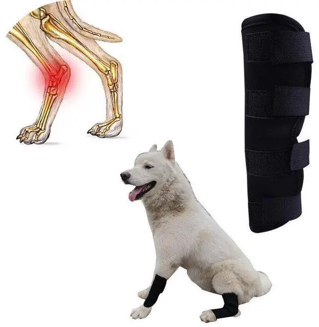 Alt view image 6 of 7 - Dog Leg Braces-Front/Rear Knee Support for Fracture Recovery & Injury Protection