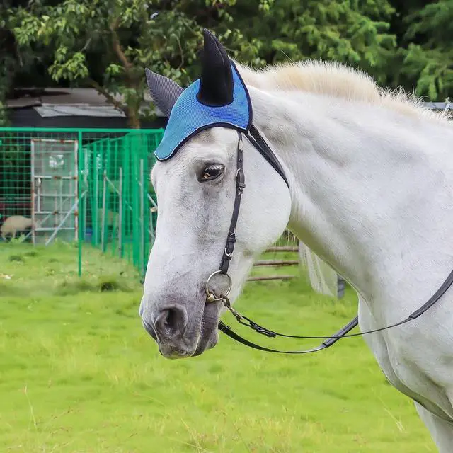 Alt view image 3 of 4 - Horse Ear Cover - Breathable Mesh Equestrian Accessory