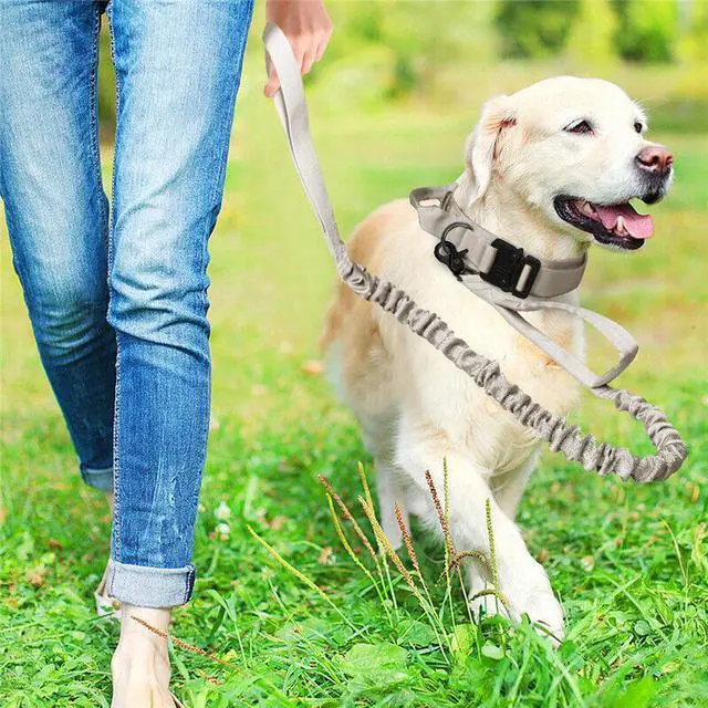 Alt view image 2 of 7 - Tactical Retractable Dog Leash - Heavy-Duty Nylon Elastic Outdoor Leash