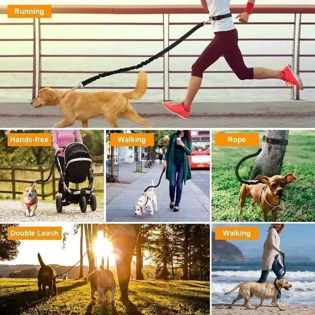 Alt view image 6 of 7 - Adjustable Hands-Free Dog Leash & Harness - Padded Handle for Running/Jogging