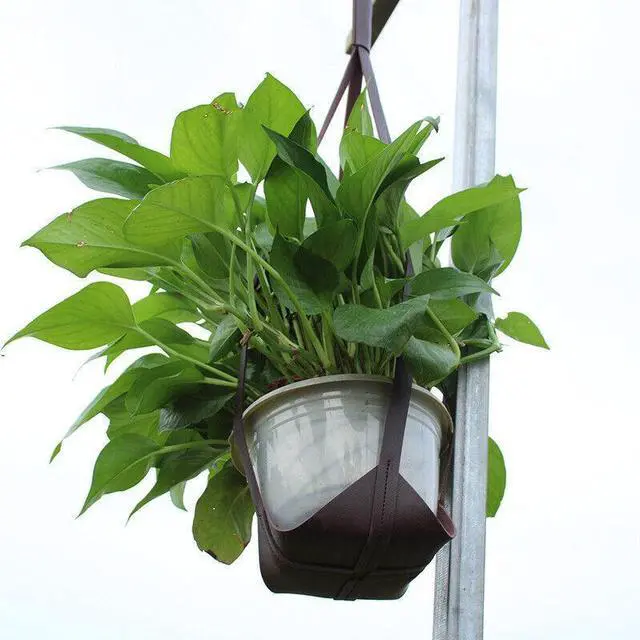 Alt view image 4 of 7 - PU Leather Hanging Planter - Creative Flower Pot Holder for Indoor Plants