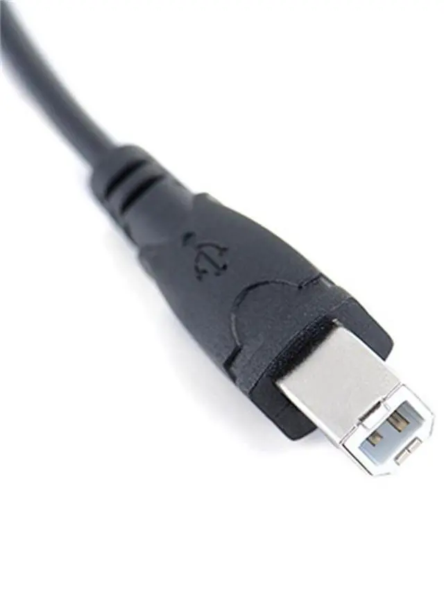 Alt view image 4 of 5 - Type-C connection cable for electronic piano for Android mobile phone OTG connection for smart piano. Type-Cto B male adapter.