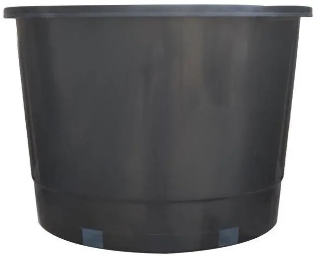 Alt view image 5 of 5 - findmall Plant Plastic Flowerpot, Horticultural Flowerpot, Field Planting Pot, Suitable for Seed Planting, Plant Cutting, Succulent Cultivation 10Pcs 10-Gallon Black