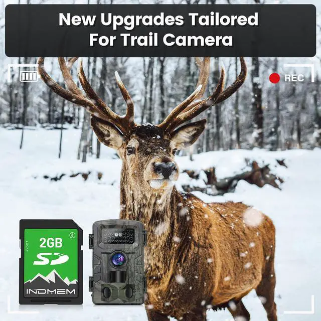 Alt view image 2 of 5 - INDMEM 2GB SD Card,5 Packs 2GB Class 4 Flash Memory Card 2G SLC Standard Secure Digital Cards for Old Digital Camera and Trail Camera